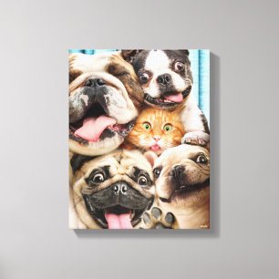 Honden en kattengroepfoto's canvas afdruk