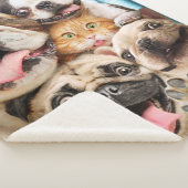 Honden en kattengroepfoto's sherpa deken (3/4)