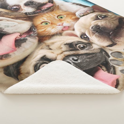 Honden en kattengroepfoto's sherpa deken (3/4)