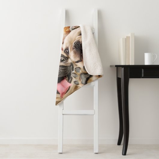 Honden en kattengroepfoto's sherpa deken (In situ)