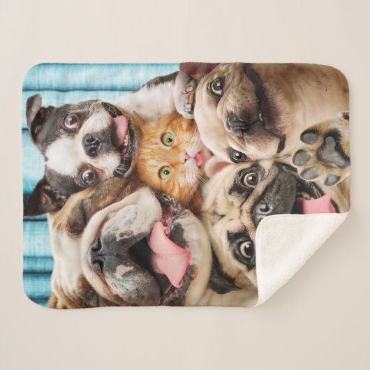 Honden en kattengroepfoto's sherpa deken (Voorkant (horizontaal))