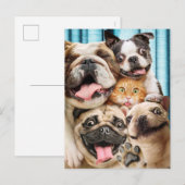 Honden en kattengroepfoto's uitnodiging briefkaart (Voorkant / Achterkant)