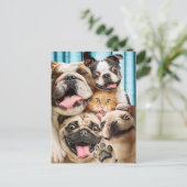 Honden en kattengroepfoto's uitnodiging briefkaart (Staand voorkant)