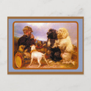 Honden en matrozen spelen Kaart