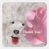 Honden en Rozen Vierkante Sticker (Voorkant)