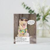 Honden en warmte briefkaart (Staand voorkant)