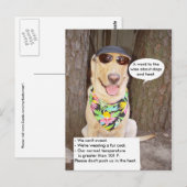 Honden en warmte briefkaart (Voorkant / Achterkant)