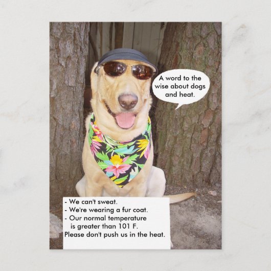 Honden en warmte briefkaart (Voorkant)