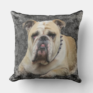 Honden, engels buldogge, grimmig uitziend, kussen