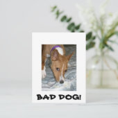 Honden eten matras op. Slechte hond. Briefkaart (Staand voorkant)
