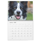 Honden Fotocollage Gepersonaliseerd Modern 2026 Kalender (Jan 2027)