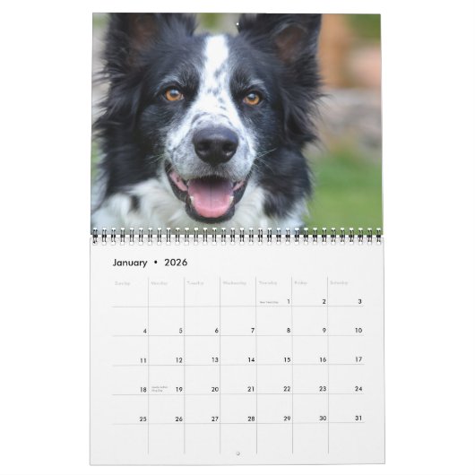 Honden Fotocollage Gepersonaliseerd Modern 2026 Kalender (Jan 2026)
