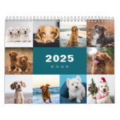 Honden Fotocollage Moderne 2025 Kalender (Hoes)