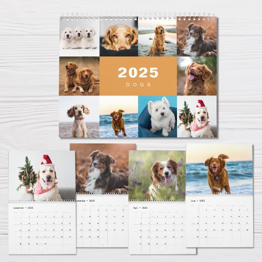 Honden Fotocollage Moderne 2025 Kalender