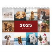 Honden Fotocollage Moderne 2025 Kalender (Hoes)