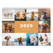 Honden Fotocollage Moderne 2025 Kalender (Hoes)