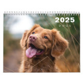Honden Fotocollage Moderne 2025 Kalender (Hoes)