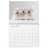 Honden Fotocollage Moderne 2025 Kalender (Jan 2027)