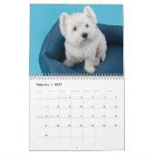 Honden Fotocollage Moderne 2025 Kalender (Feb 2027)