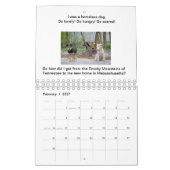 Honden geven nooit de kalender van het boek op (Feb 2027)