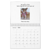 Honden geven nooit de kalender van het boek op (Jan 2026)