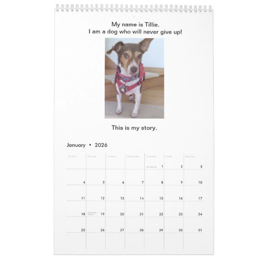 Honden geven nooit een kalender-verhalenboek op kalender (Jan 2026)