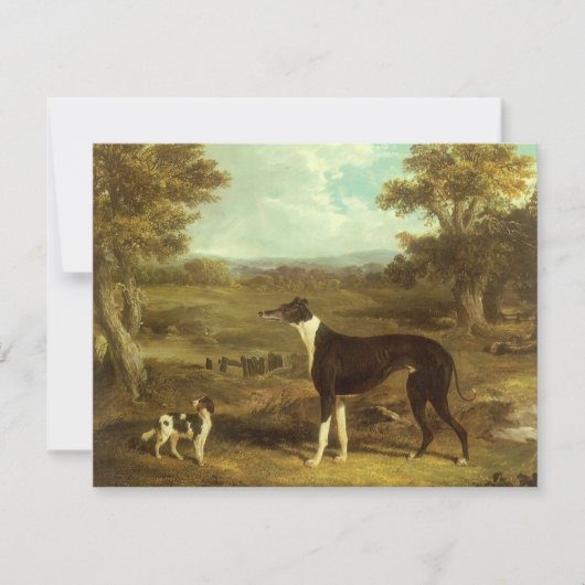 Honden, Greyhound en Spaniel, Doctor Fop by Herrin (Voorkant)