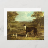 Honden, Greyhound en Spaniel, Doctor Fop by Herrin (Voorkant / Achterkant)