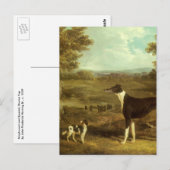 Honden, Greyhound en Spaniel, Doctor Fop by Herrin Briefkaart (Voorkant / Achterkant)
