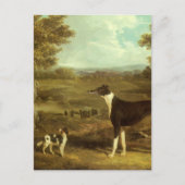 Honden, Greyhound en Spaniel, Doctor Fop by Herrin Briefkaart (Voorkant)