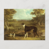 Honden, Greyhound en Spaniel, Doctor Fop by Herrin Briefkaart (Voorkant)