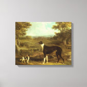 Honden, Greyhound en Spaniel, Doctor Fop by Herrin Canvas Afdruk (Voorkant)