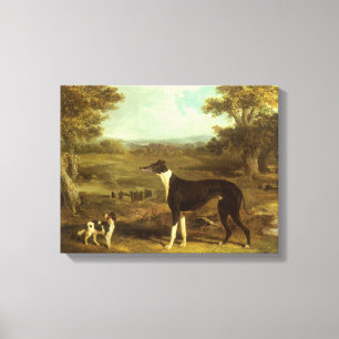 Honden, Greyhound en Spaniel, Doctor Fop by Herrin Canvas Afdruk