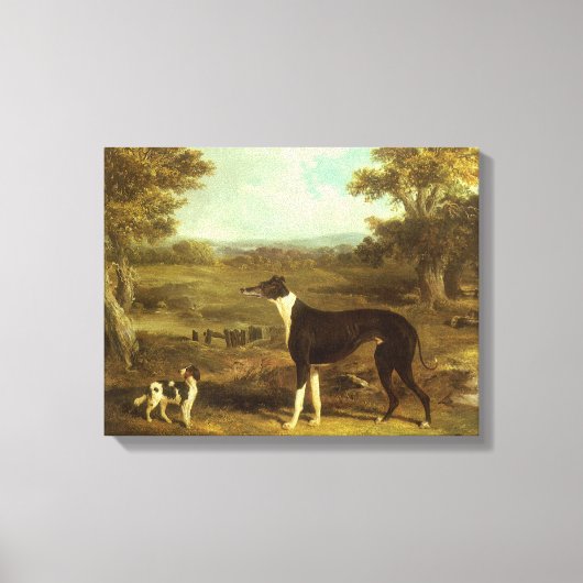 Honden, Greyhound en Spaniel, Doctor Fop by Herrin Canvas Afdruk (Voorkant)