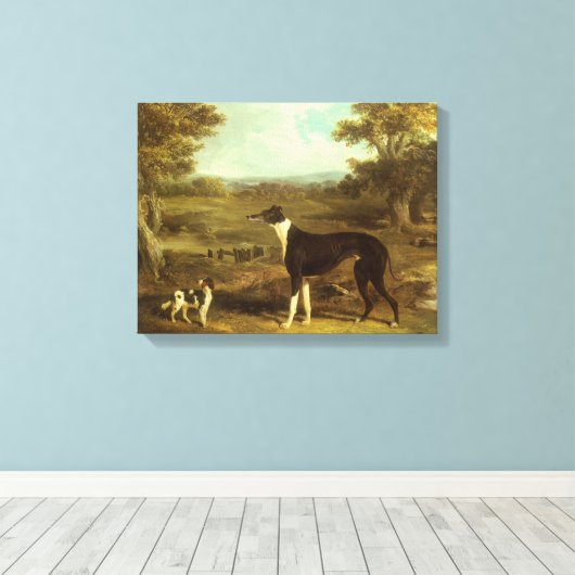Honden, Greyhound en Spaniel, Doctor Fop by Herrin Canvas Afdruk (Insitu (Houten vloer))