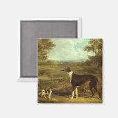 Honden, Greyhound en Spaniel, Doctor Fop by Herrin Magneet (Voorkant / Achterkant)