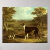 Honden, Greyhound en Spaniel, Doctor Fop by Herrin Poster (Voorkant)