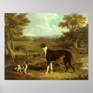 Honden, Greyhound en Spaniel, Doctor Fop by Herrin Poster
