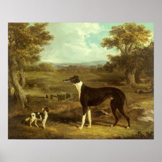 Honden, Greyhound en Spaniel, Doctor Fop by Herrin Poster (Voorkant)