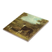 Honden, Greyhound en Spaniel, Doctor Fop by Herrin Tegeltje (Zijkant)