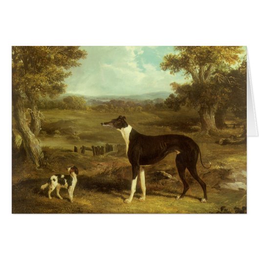 Honden, Greyhound en Spaniel, Dokter Fop door Herr (Voorkant Horizontaal)
