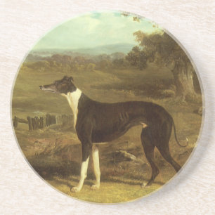 Honden, Greyhound en Spaniel, Dokter Fop door Herr Zandsteen Onderzetter