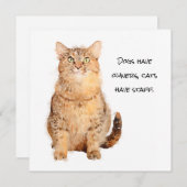 Honden hebben eigenaar, katten hebben een platte k (Voorkant / Achterkant)