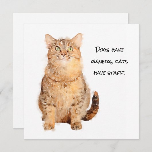 Honden hebben eigenaar, katten hebben een platte k