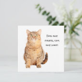 Honden hebben eigenaar, katten hebben een platte k (Staand voorkant)