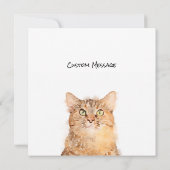 Honden hebben eigenaar, katten hebben een platte k (Achterkant)