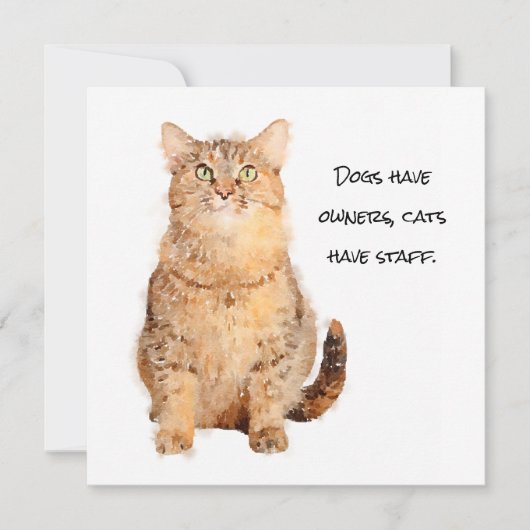 Honden hebben eigenaar, katten hebben een platte k (Voorkant)