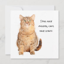 Honden hebben eigenaar, katten hebben een platte k