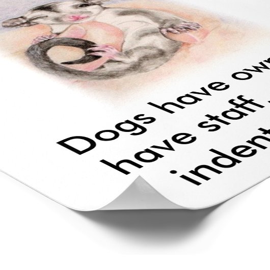 Honden hebben eigenaars, katten hebben personeel,  poster (Hoek)