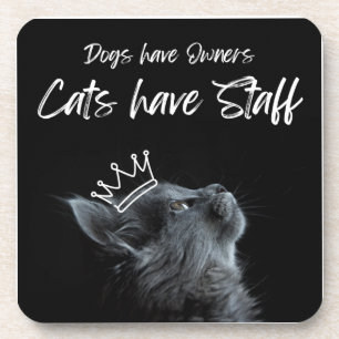 Honden hebben eigenaren, katten hebben personeel bier onderzetter